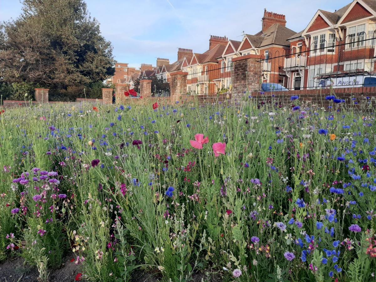Coastal Chic Bed and Breakfast Bexhill-on-Sea Εξωτερικό φωτογραφία
